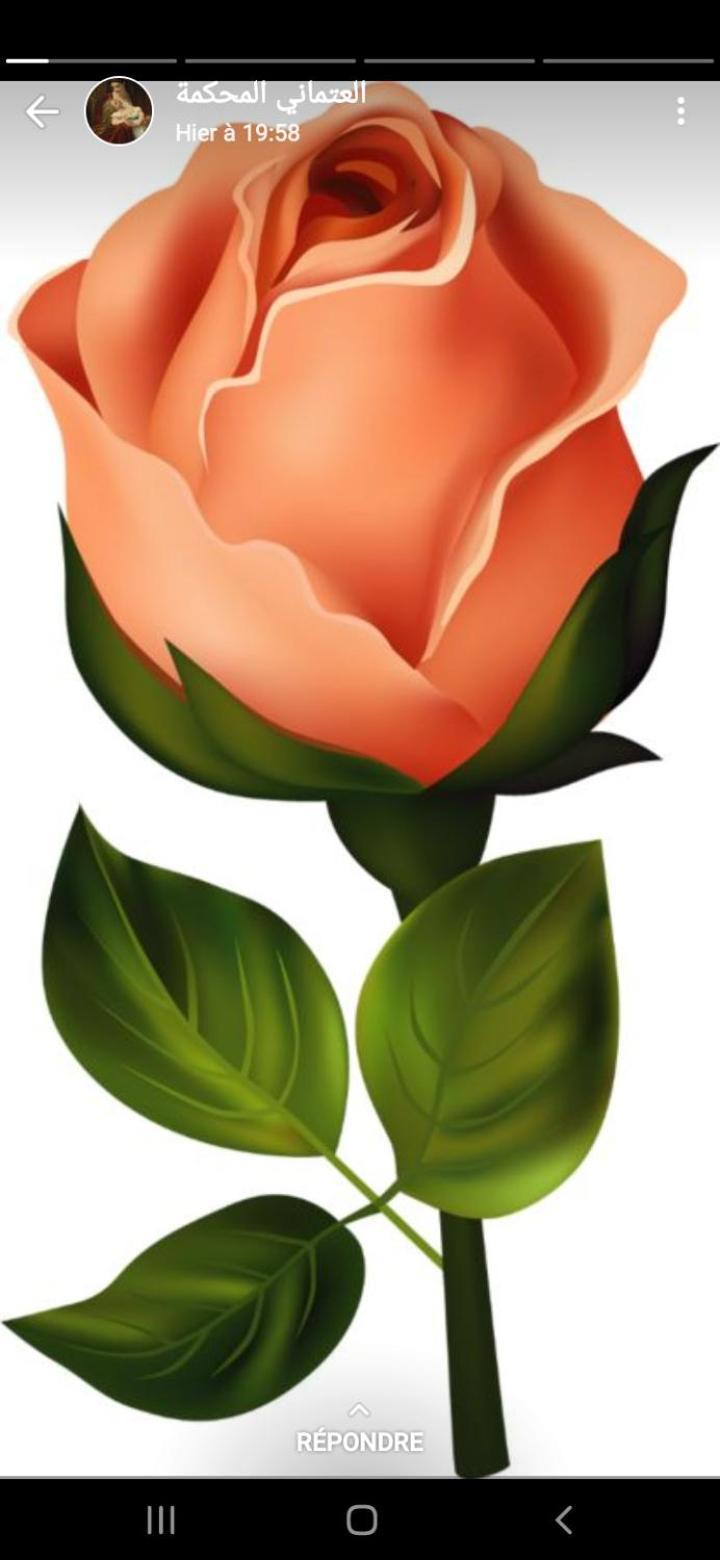La Rose Blanche Hotell Zaouia Ben Smine Exteriör bild